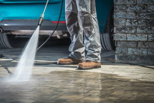 Best Roof Cleaning and Mildew Removal in Del Norte, CO